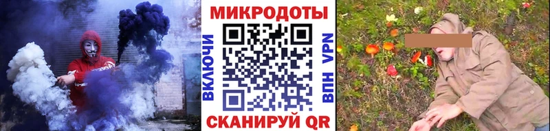 Псилоцибиновые грибы Psilocybe Ахтубинск