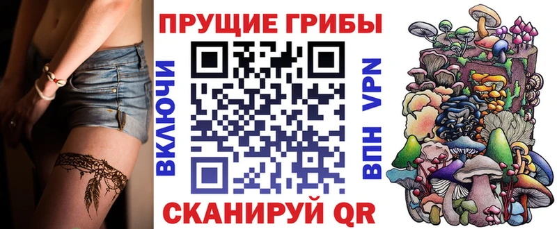 купить  цена  Ахтубинск  маркетплейс клад  Галлюциногенные грибы мухоморы 